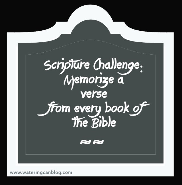 1-2013-06-03 chalkboard