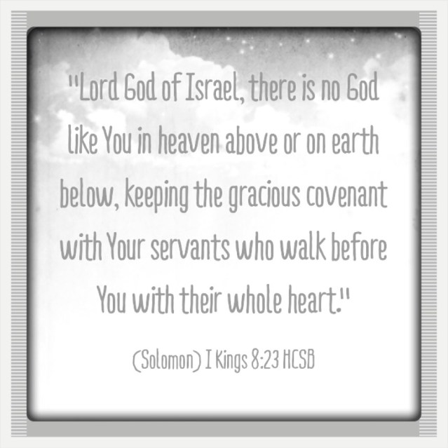 1 Kings 8.23 1-6-2014 5-38-22 PM