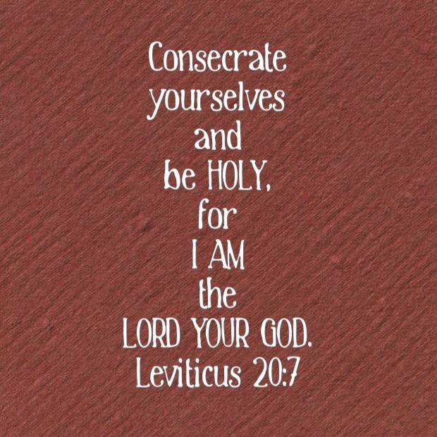 Leviticus 20.7 1-21-2014 11-39-54 AM