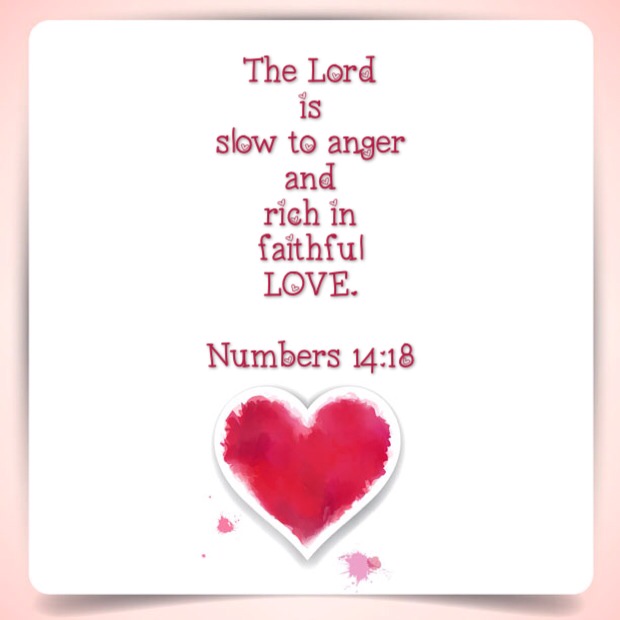 Numbers 14.18 1-21-2014 11-39-55 AM