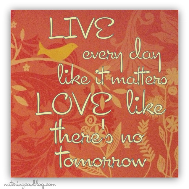 Live and Love