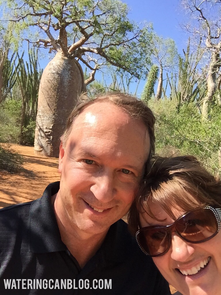 Baobob Forest in Ifaty, Madagascar