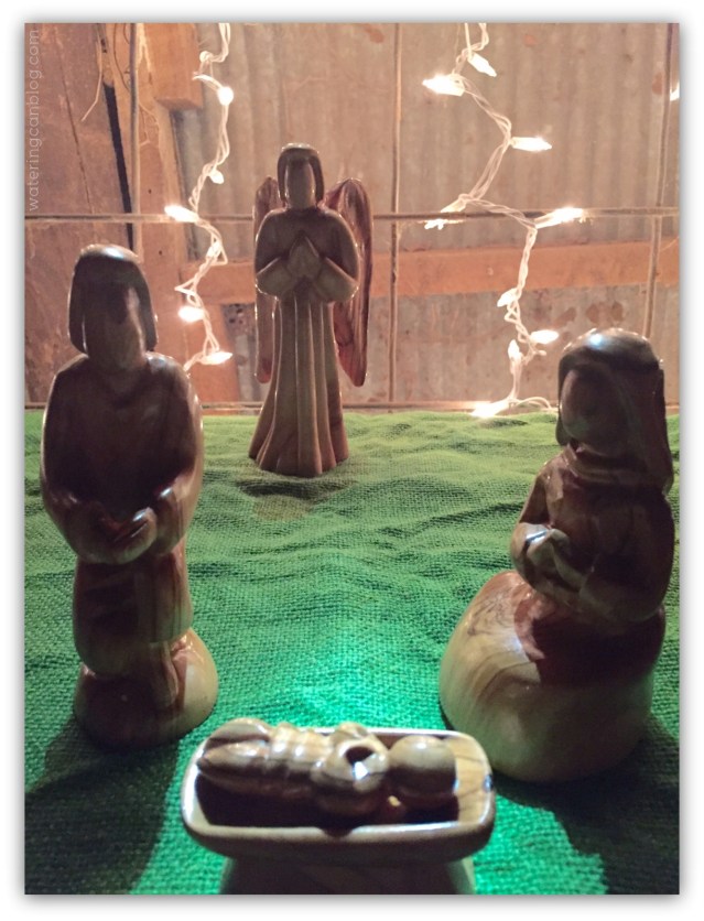 Christmas Nativity 2014