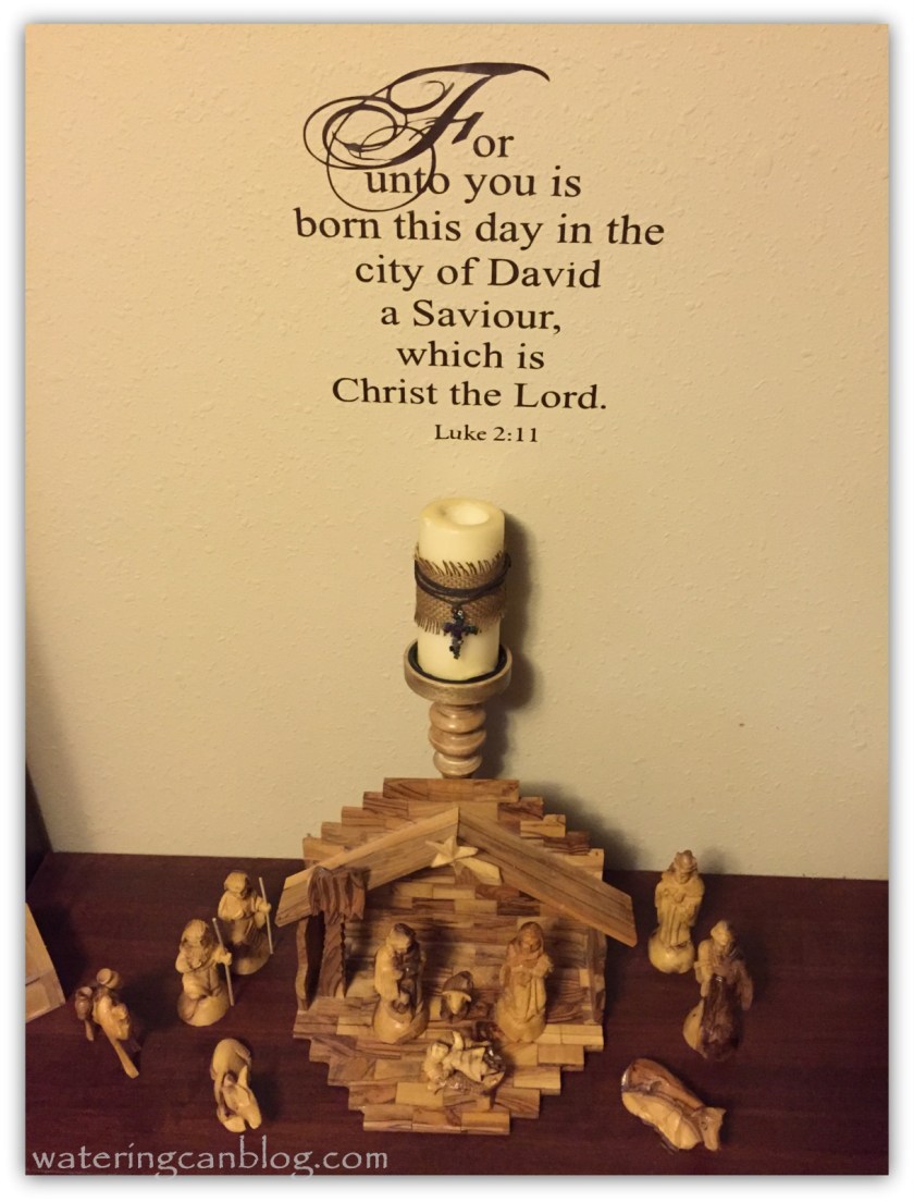 Christmas Nativity 2014