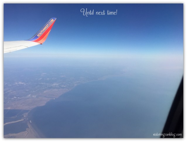 New Orleans coastline