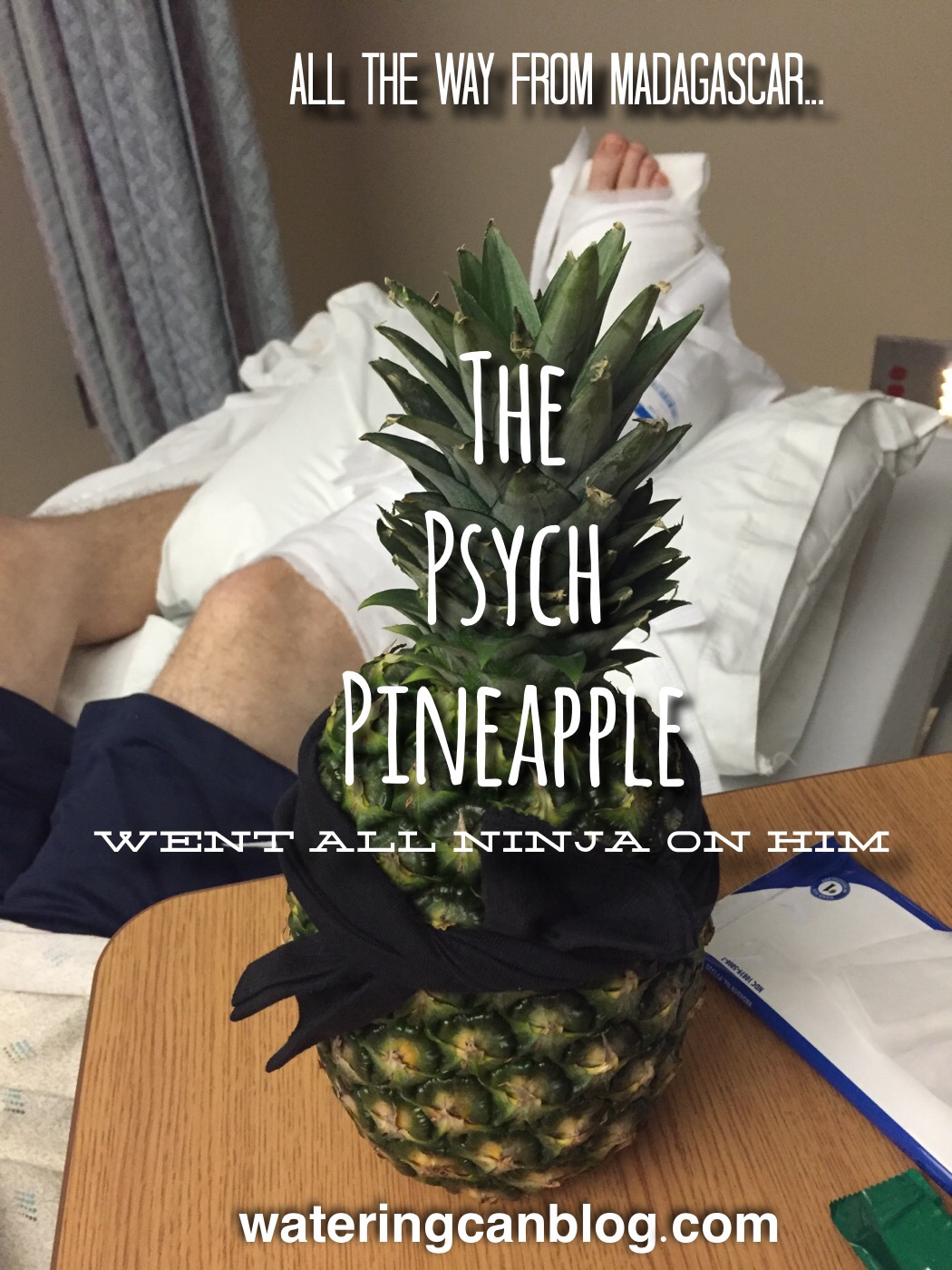 Ninja Pineapple