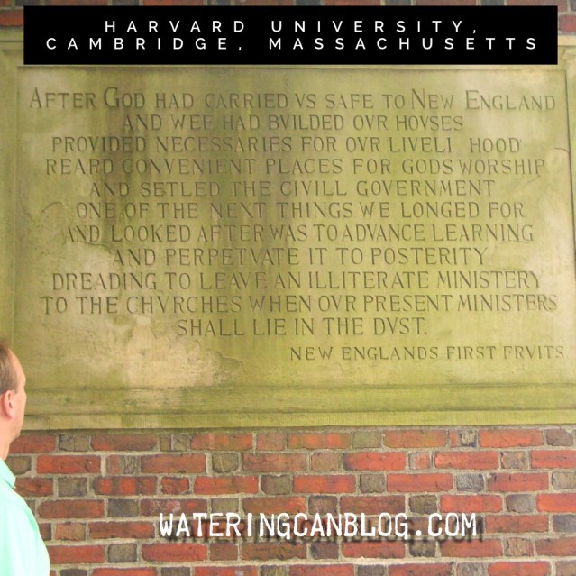 Harvard University Quote