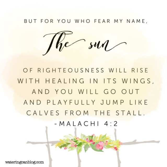 Malachi 4.2