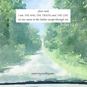 When Life Doesn’t Turn Out Like You Planned – wateringcanblog