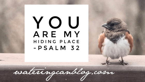 #inspiration #blog #wateringcanblog #psalms #Bible #truth #faith #protection #peace #bird #nature #photography #poetry