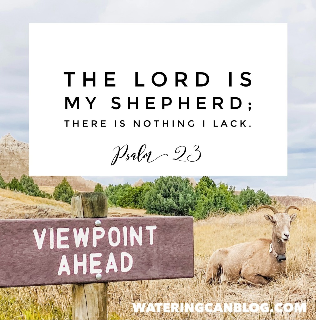 #fear #prayer #23Psalm #wateringcanblog #TheGoodShepherd #faith #hope #Bible